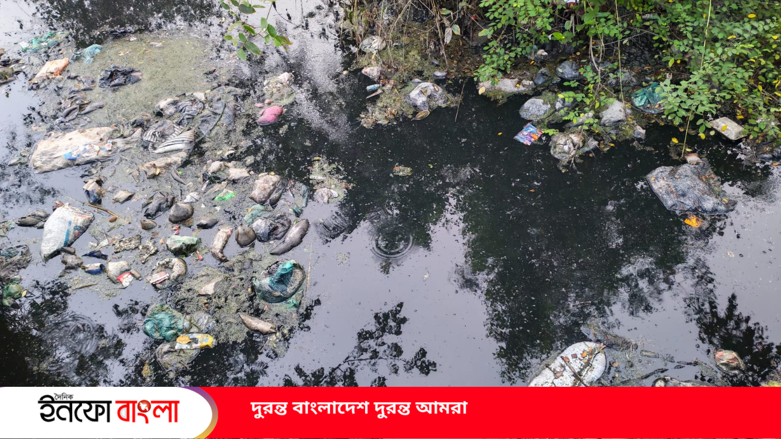 শিকলবাহায় অবৈধ বর্জ্য ফেলে পরিবেশ ধ্বংস,