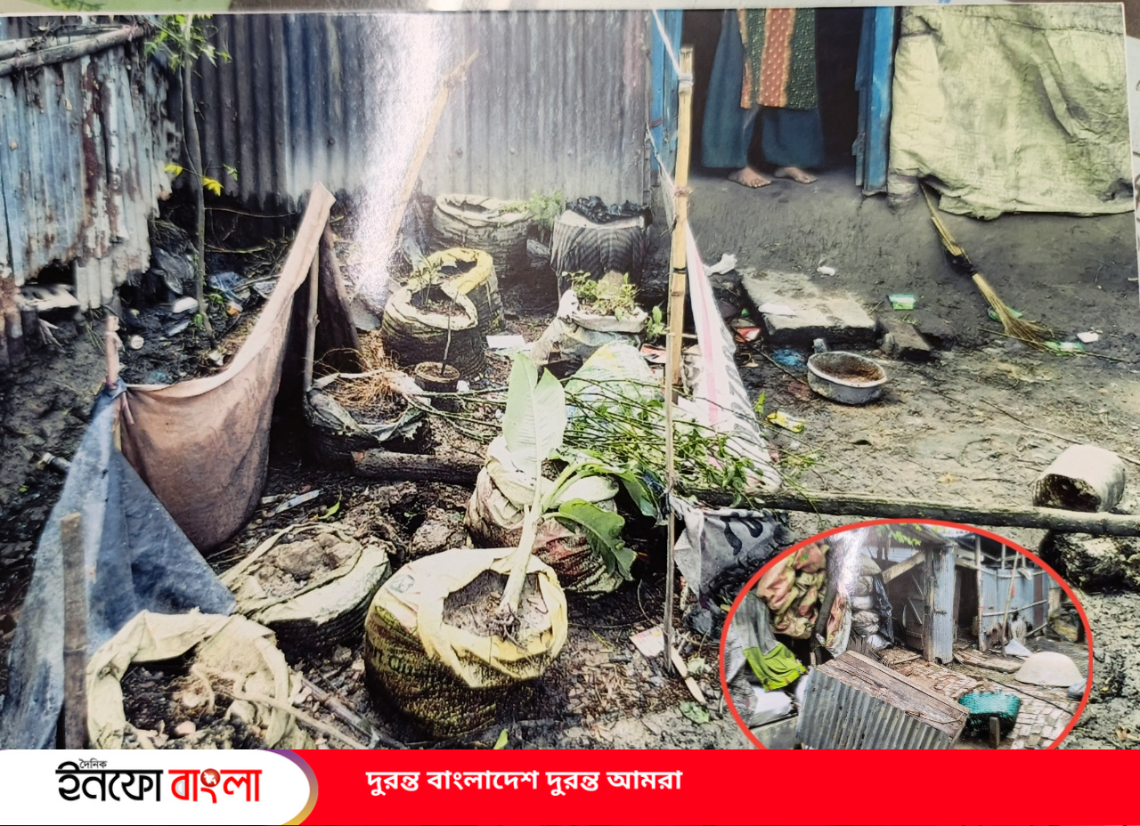 কর্ণফুলীতে জমি বিরোধে গৃহবধূ নির্যাতন, স