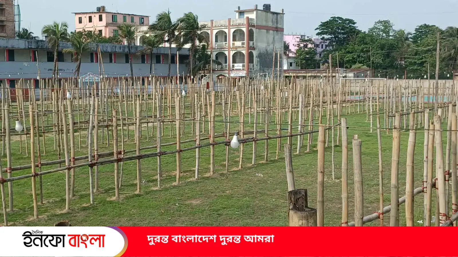 ‎স্কুল মাঠে কোরবানির পশুর হাট, ক্ষোভে ফুঁসছে এলাকা...