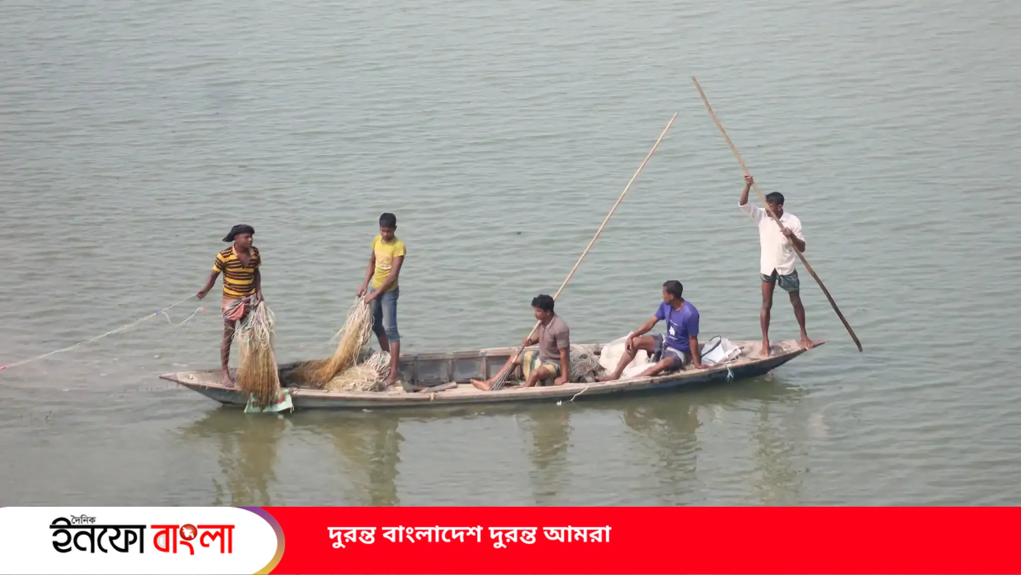 বিলুপ্তির পথে ‘রুপালি’ বৈরালী