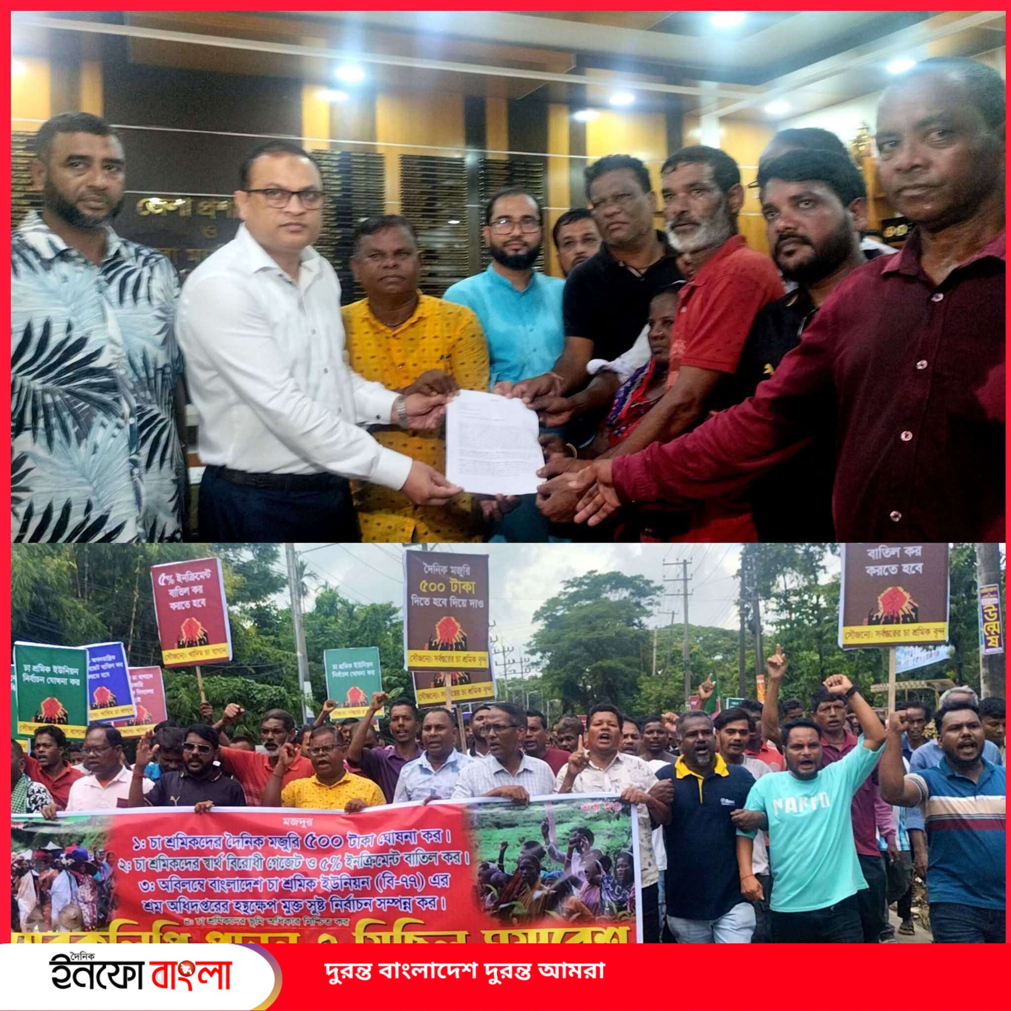 দৈনিক ৫০০ টাকা মজুরির দাবিতে সিলেটে চা শ
